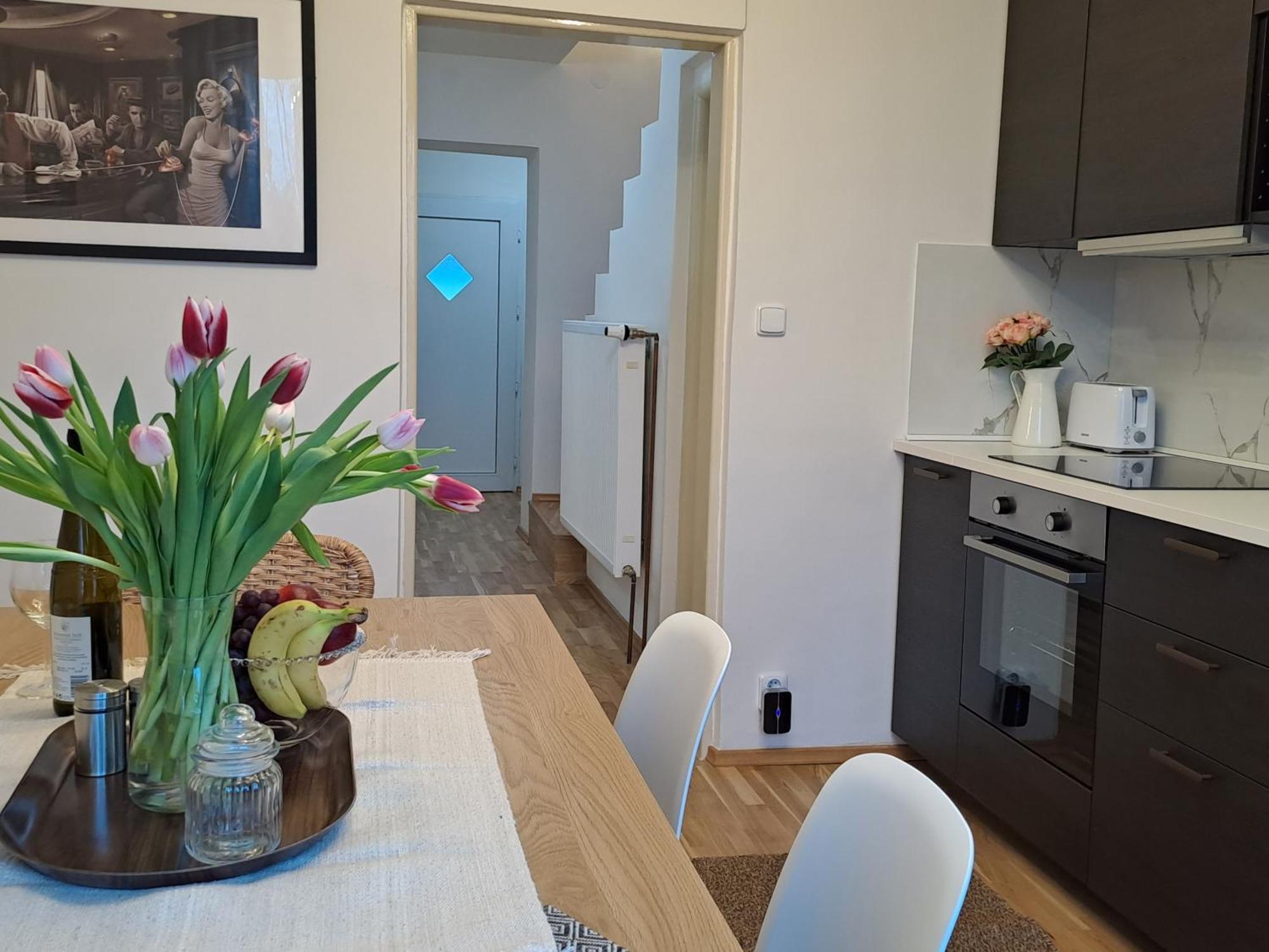Apartmanovy Dum Se Zahradou V Klidne Casti Prahy プラハ 部屋 写真